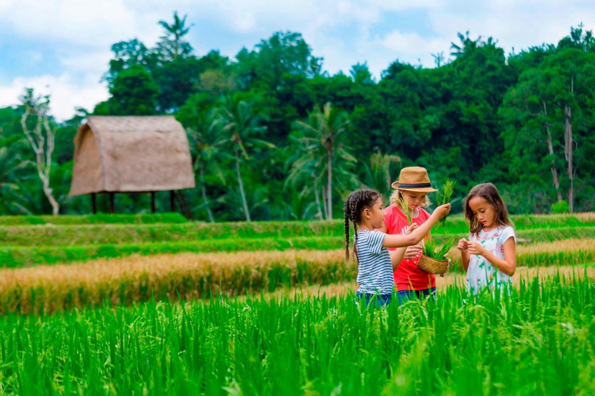 Mandapa, A Ritz-Carlton Reserve Убуд Екстериор снимка