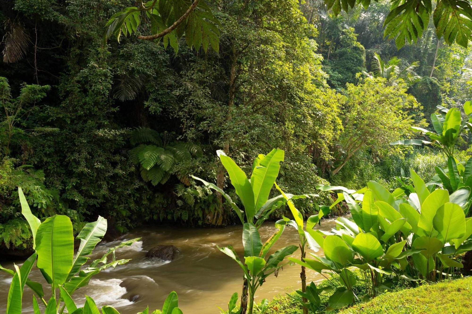 Mandapa, A Ritz-Carlton Reserve Убуд Екстериор снимка
